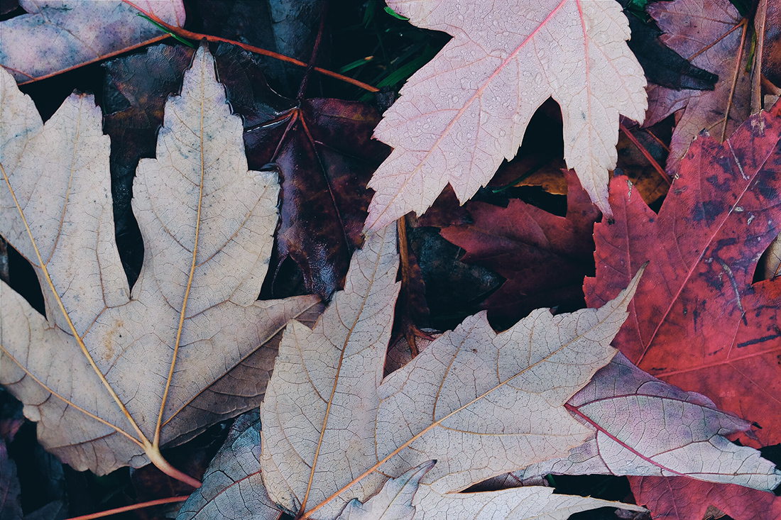 Processed with VSCOcam with a2 preset