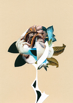 cover-flower-collage